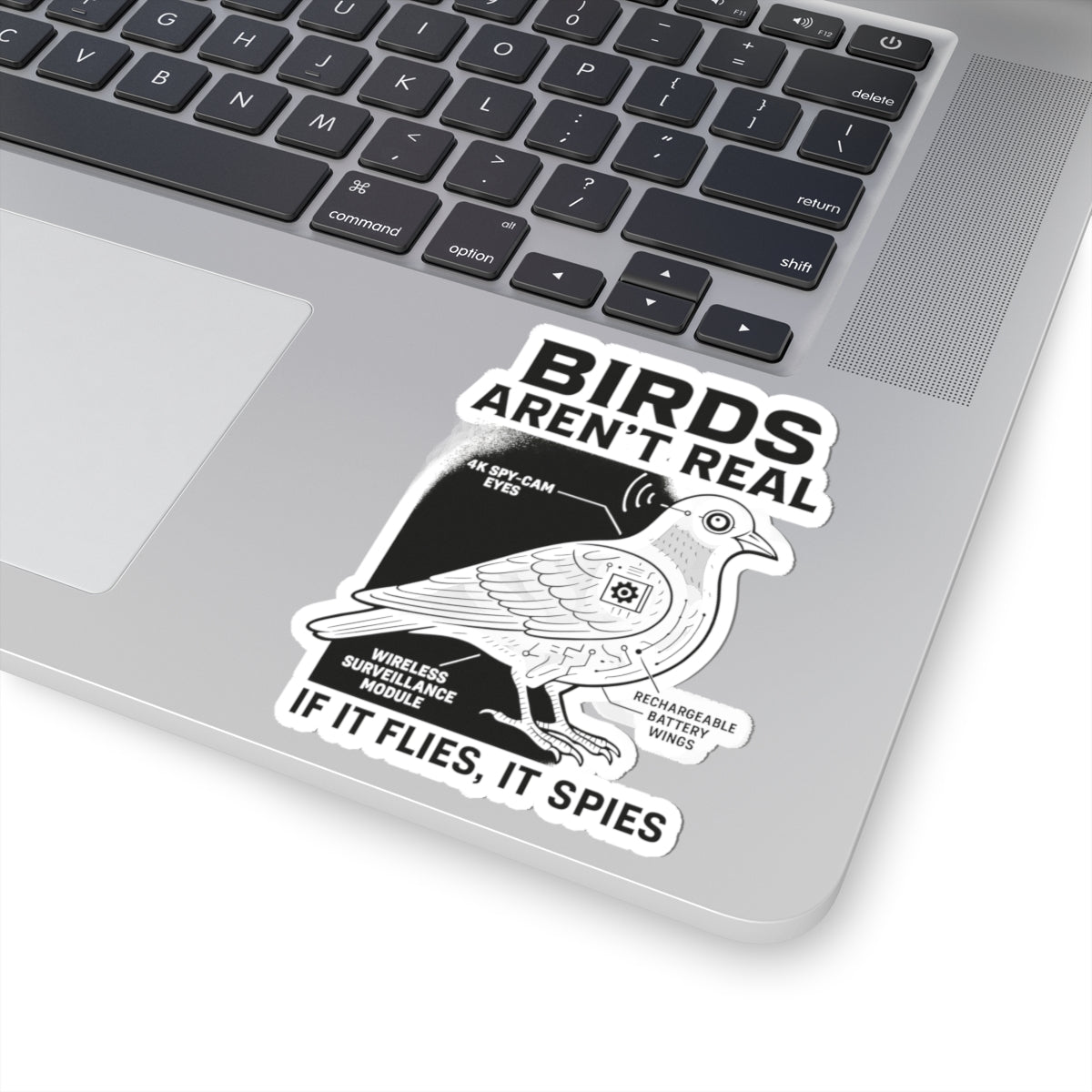 A laptop with a Printify Funny Birds Aren’t Real Spy Bird Sticker—a conspiracy meme in vibrant vinyl, featuring a pigeon diagram labeled “BIRDS AREN’T REAL,” “IF IT FLIES, IT SPIES,” and more for long-lasting humor and style.