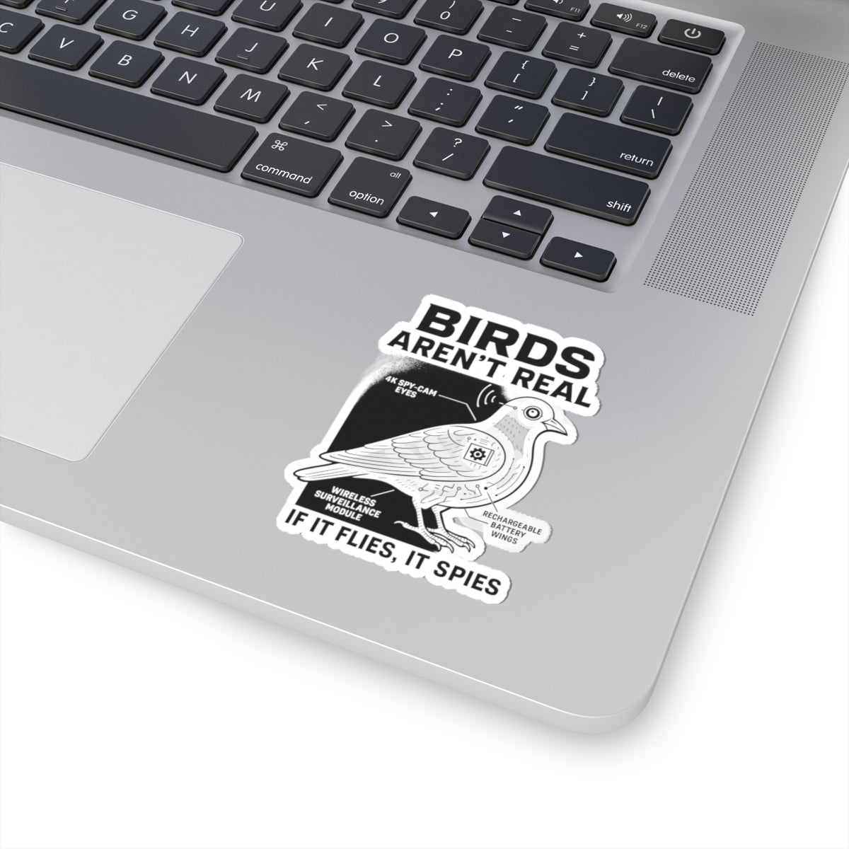 A laptop with a Printify Funny Birds Aren’t Real Spy Bird Sticker by the trackpad, showing a vibrant bird diagram labeled “BIRDS AREN’T REAL” and “IF IT FLIES, IT SPIES,” with parts humorously marked like surveillance gear.