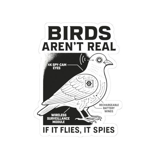 The Printify Funny Birds Aren’t Real Spy Bird Sticker features a vibrant cartoon bird diagram with labeled 4K spy-cam eyes, wireless module, and bold “BIRDS AREN’T REAL” and “IF IT FLIES, IT SPIES” text on durable vinyl.